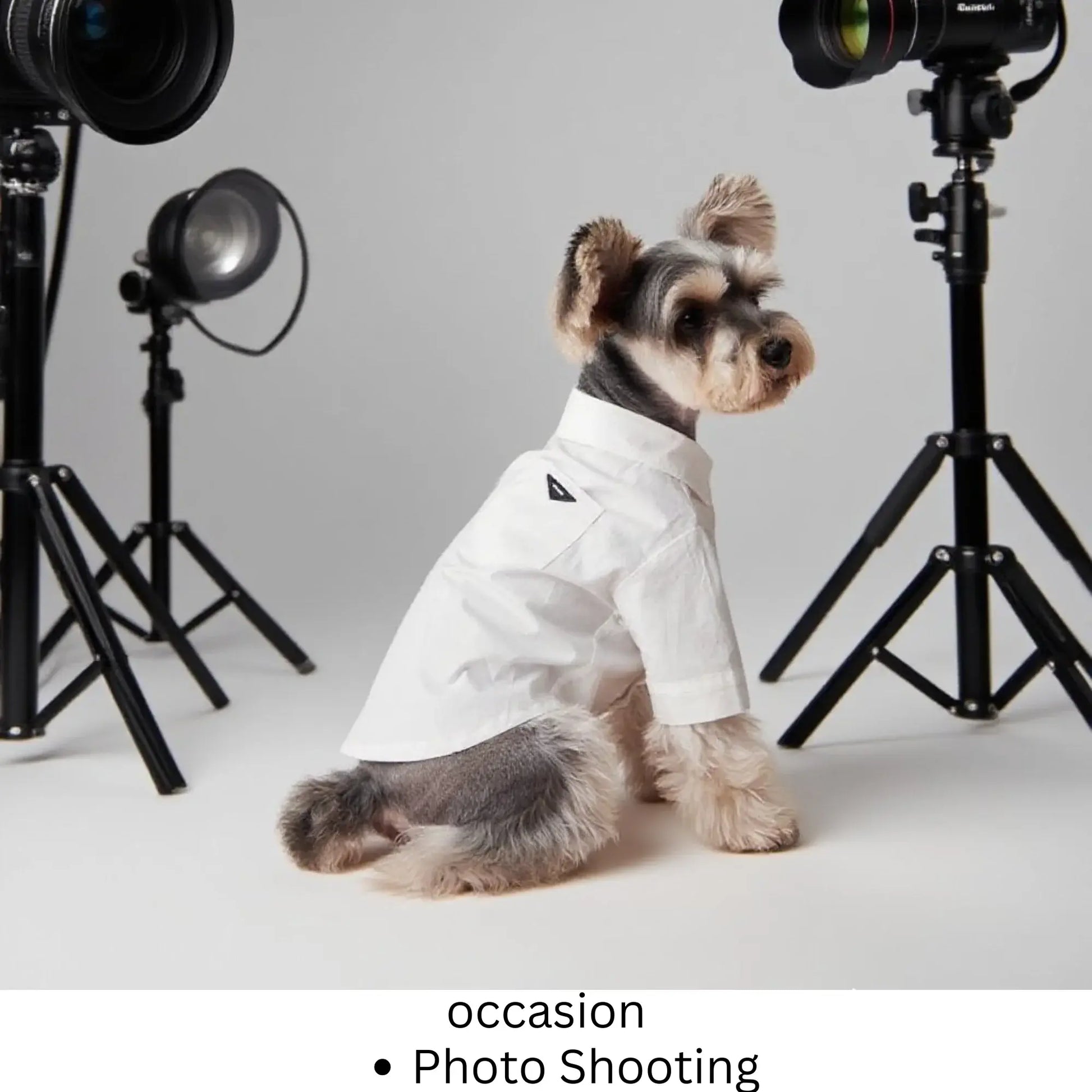 Luxury Pet Dress Shirt for Dogs & Cats White Designer Button-Up Outfit Formal Pet Clothes for Wedding Party Photoshoot Puppy Kitten Fashion Apparel