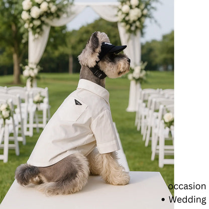 Luxury Pet Dress Shirt for Dogs & Cats White Designer Button-Up Outfit Formal Pet Clothes for Wedding Party Photoshoot Puppy Kitten Fashion Apparel